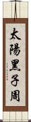 太陽黑子周 Scroll