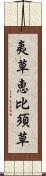 夷草 Scroll