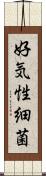 好気性細菌 Scroll