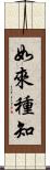 如來種知 Scroll