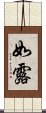 如露 Scroll