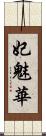 妃魅華 Scroll