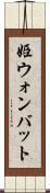 姫ウォンバット Scroll