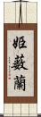 姫薮蘭 Scroll