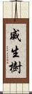 威生樹 Scroll