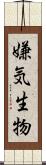 嫌気生物 Scroll