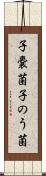 子嚢菌 Scroll