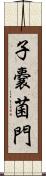 子嚢菌門 Scroll