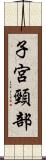 子宮頸部 Scroll