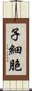 子細胞 Scroll