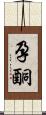 孕酮 Scroll