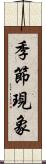 季節現象 Scroll