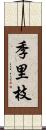 季里枝 Scroll