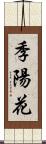 季陽花 Scroll