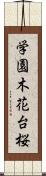 学園木花台桜 Scroll