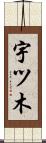 宇ツ木 Scroll