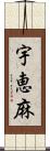 宇恵麻 Scroll