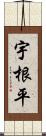 宇根平 Scroll