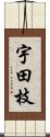 宇田枝 Scroll