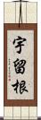 宇留根 Scroll