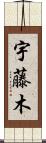 宇藤木 Scroll