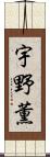 宇野薫 Scroll