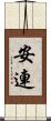 安連 Scroll