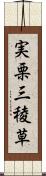 実栗 Scroll