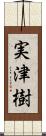 実津樹 Scroll