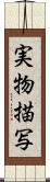 実物描写 Scroll