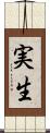 実生 Scroll