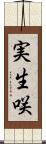 実生咲 Scroll