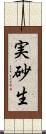 実砂生 Scroll