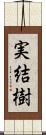 実結樹 Scroll