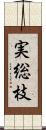 実総枝 Scroll