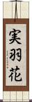 実羽花 Scroll
