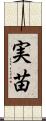 実苗 Scroll