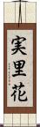 実里花 Scroll