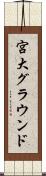 宮大グラウンド Scroll