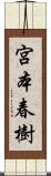 宮本春樹 Scroll