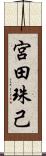 宮田珠己 Scroll