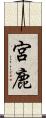 宮鹿 Scroll