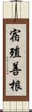 宿殖善根 Scroll