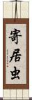 寄居虫 Scroll