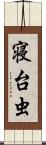 寝台虫 Scroll