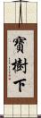 寶樹下 Scroll