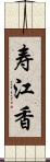 寿江香 Scroll