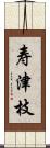 寿津枝 Scroll