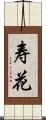 寿花 Scroll