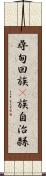 尋甸回族彞族自治縣 Scroll